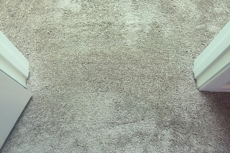 Bleach Spot Carpet Dye Repair